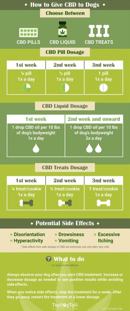 CBDが犬に良い9つの理由とそれを与える方法 