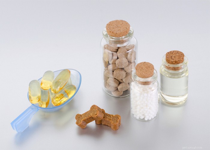 Avantages et inconvénients des suppléments pour chiens :les vitamines pour chiens en valent-elles la peine ?