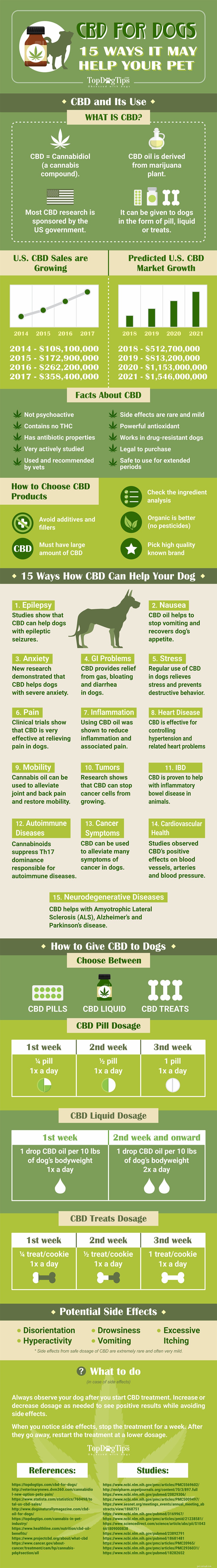CBDと犬：それがあなたのペットを助けるかもしれない15の方法 