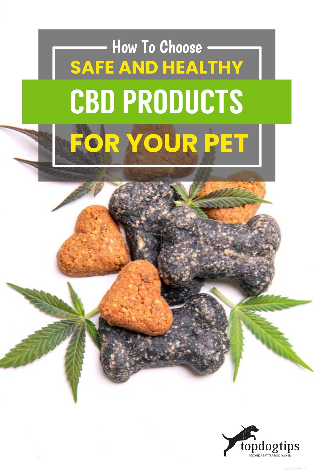 TOP #124:Hoe kies je veilige en gezonde CBD-producten voor je huisdier? 