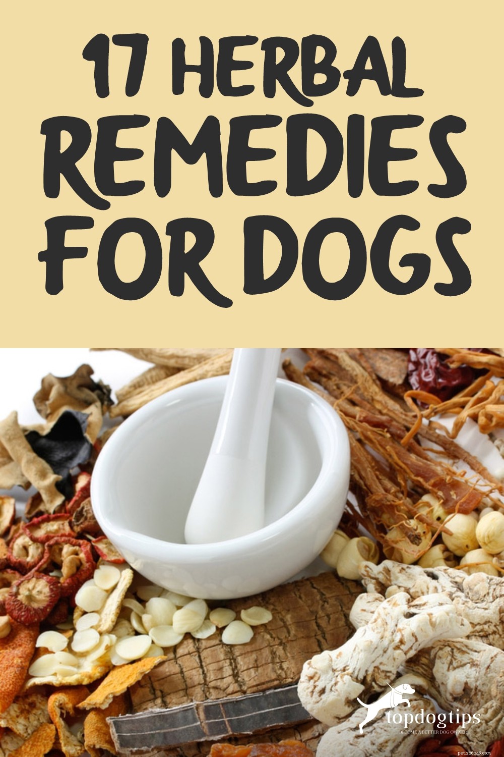 17 kruidengeneesmiddelen voor honden