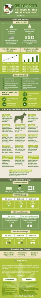 5犬の痛みを和らげる家庭薬 