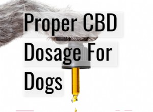 개를 위한 적절한 CBD 복용량