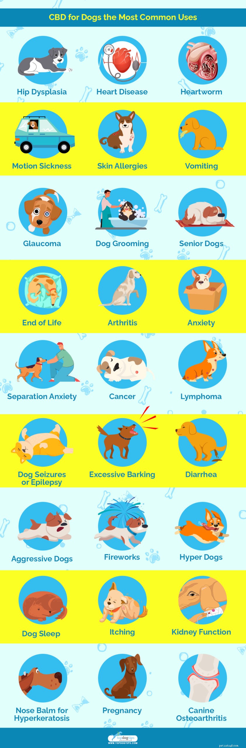 25 avantages pour la santé et utilisations du CBD pour les chiens