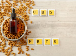 CBD como tratamento para convulsões em cães 