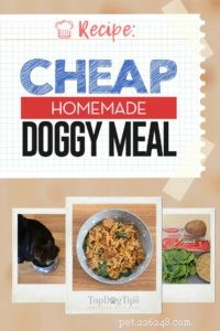 Recette :Nourriture pour chien maison bon marché
