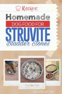 레시피:Struvite 방광 결석을 위한 집에서 만든 개밥