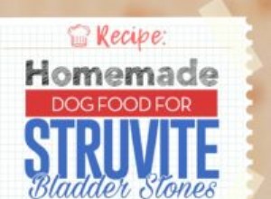 Recette :Nourriture maison pour chien contre les calculs vésicaux de struvite