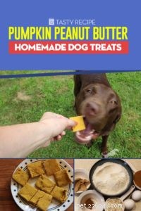 조리법:호박 땅콩 버터 집에서 만든 강아지 간식