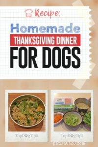 レシピ：犬のための自家製感謝祭のディナー 