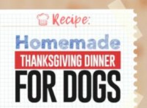 Recette :Dîner de Thanksgiving maison pour chiens