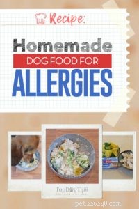 Ricetta:cibo per cani fatto in casa per le allergie