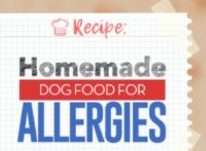 Receita:comida caseira para cães para alergias