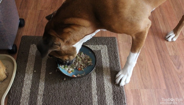 Recette :Nourriture pour chien au boeuf et riz mijoté