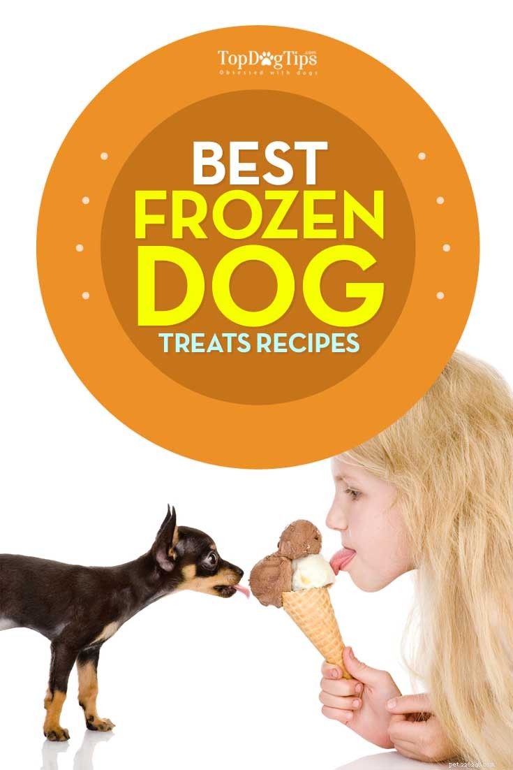 Meilleures recettes de friandises congelées pour chiens pour les chaudes journées d été