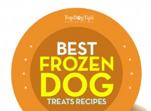 暑い夏の日の最高の冷凍犬用ビスケットのレシピ 