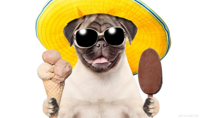 Recepten för de bästa frysta hundgodiserna för varma sommardagar