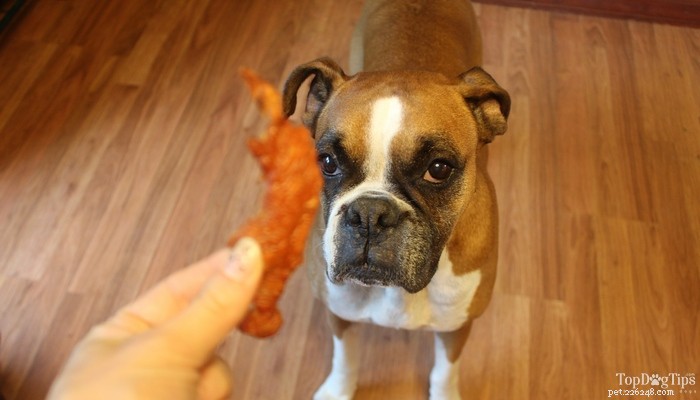 Ricetta:snack per cani a scatti di pollo