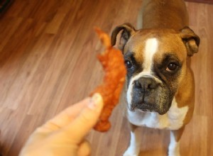 Recept:Chicken Jerky Dog Treats