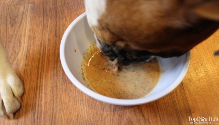 Recette facile de nourriture crue pour chien avec boeuf haché et foie de poulet