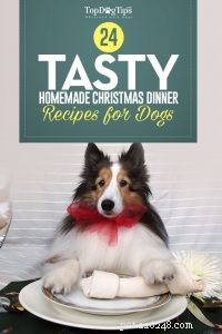 개를 위한 최고의 크리스마스 저녁 식사 요리법 24가지