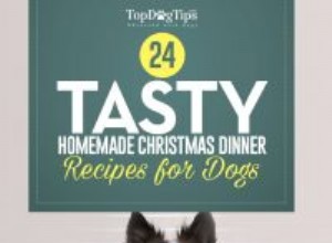 개를 위한 최고의 크리스마스 저녁 식사 요리법 24가지