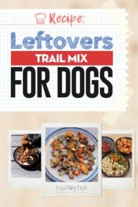 Recept:Leftovers Trail Mix voor honden
