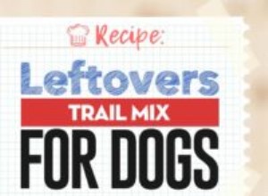 レシピ：犬のための残り物トレイルミックス 