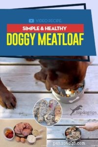 Recette :Pain de viande pour chien simple et sain