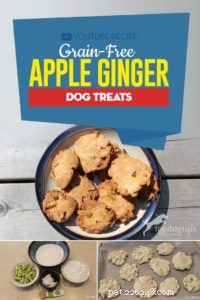 Recette :Friandises sans céréales pour chiens à la pomme et au gingembre