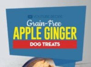 レシピ：穀物を含まないアップルジンジャードッグトリート 