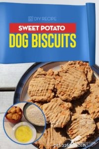 Ricetta:biscotti per cani con patate dolci