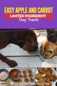 Receita:petiscos para cães com ingredientes limitados de maçã e cenoura
