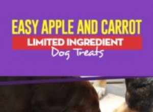 Receita:petiscos para cães com ingredientes limitados de maçã e cenoura