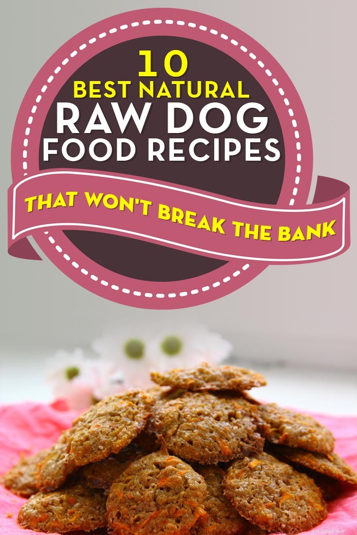 10 beste natuurlijke zelfgemaakte recepten voor rauw hondenvoer