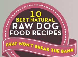 10 nejlepších přírodních receptů na domácí syrové krmivo pro psy