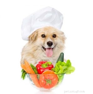 10 migliori ricette di cibo per cani crudo naturale fatto in casa