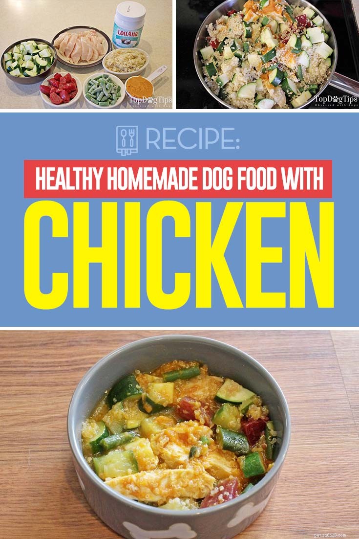 Ricetta:cibo per cani fatto in casa più sano con pollo