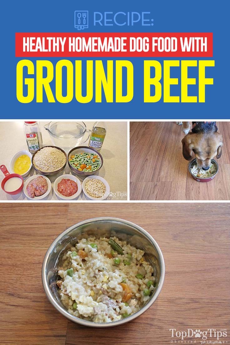 Recette :Nourriture maison pour chiens la plus saine avec du bœuf haché
