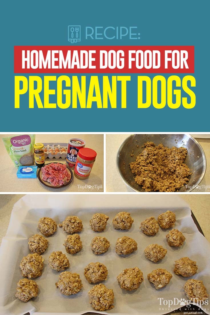 레시피:임신한 개를 위한 집에서 만든 개밥