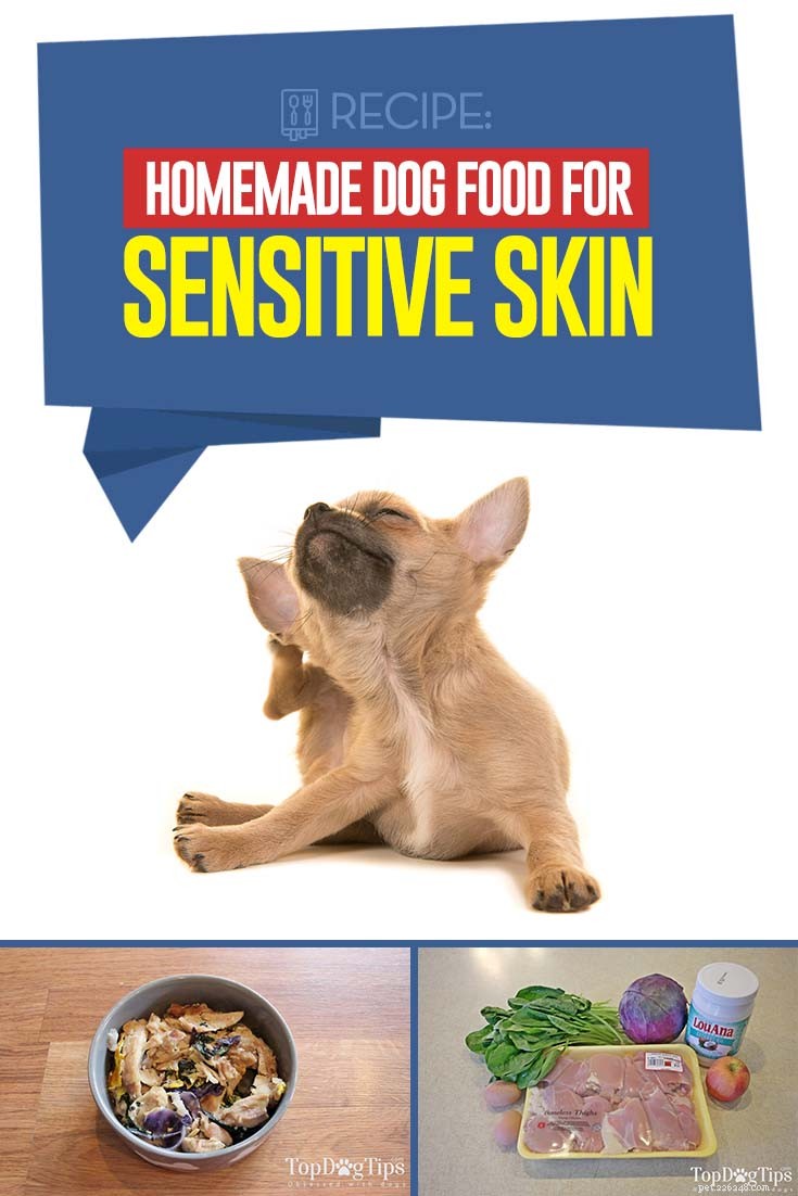 Recept:zelfgemaakt hondenvoer voor de gevoelige huid