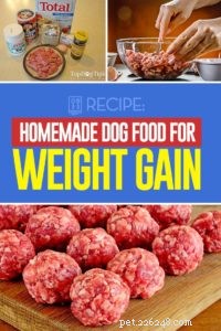 Recept:zelfgemaakt hondenvoer voor gewichtstoename - recept met satijnen ballen