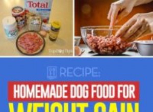 Recette :Nourriture maison pour chien pour la prise de poids - Recette de boules de satin