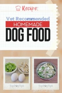 Recette :Nourriture maison pour chien recommandée par les vétérinaires