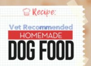 レシピ：獣医が推奨する自家製ドッグフード 