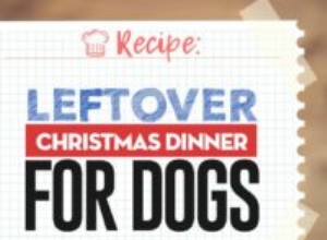 Recette :Restes de dîner de Noël pour chiens