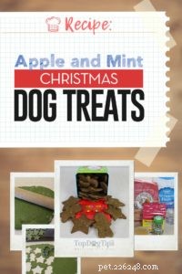 Recette :Friandises de Noël pour chiens à la pomme et à la menthe