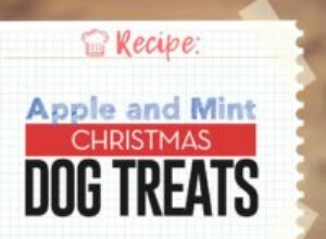 レシピ：アップルとミントのクリスマスドッグトリート 