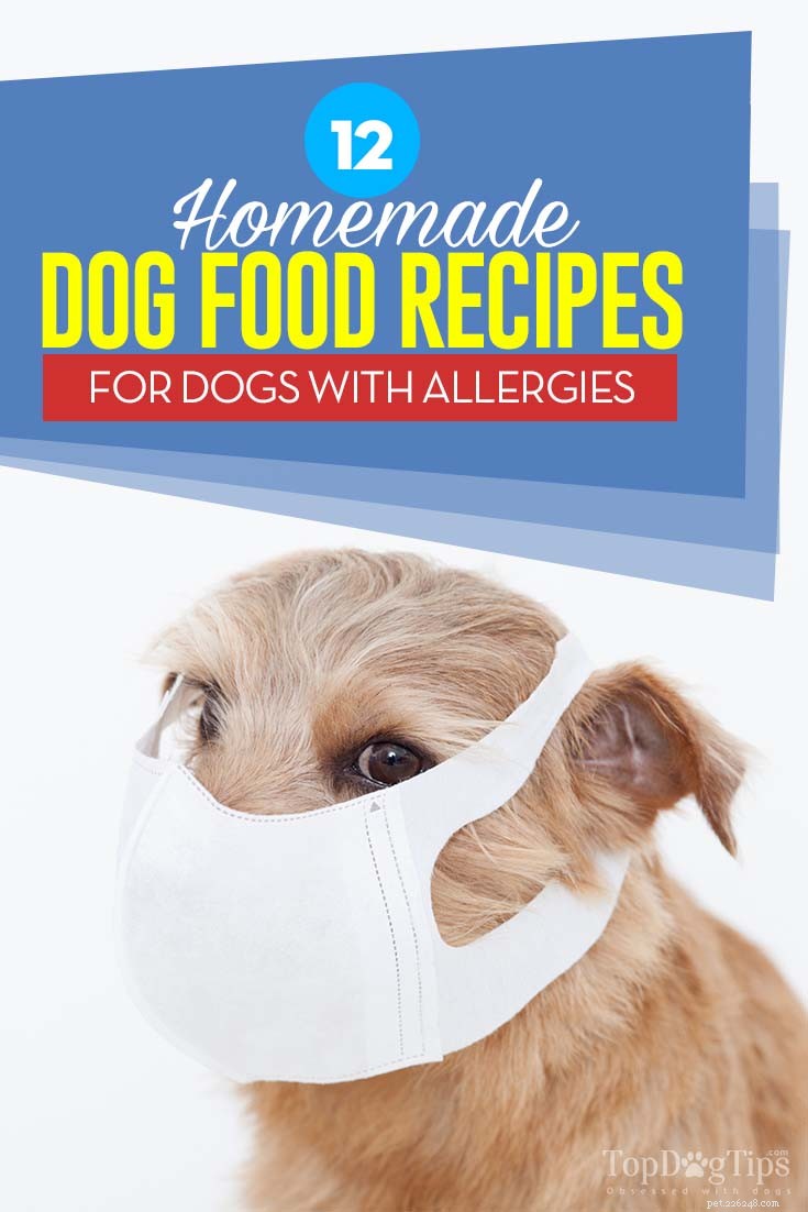 12 zelfgemaakte hondenvoerrecepten voor honden met allergieën