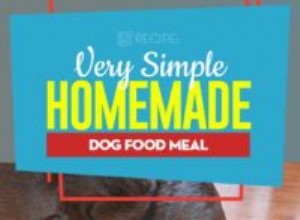 레시피:집에서 만드는 간단한 개밥